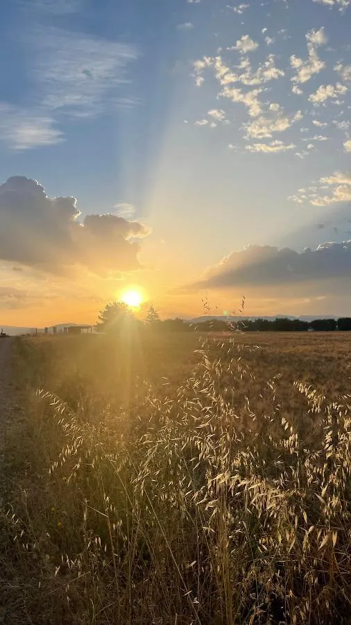 Ubytování v soukromí Apartmán Ame Concept Valensole