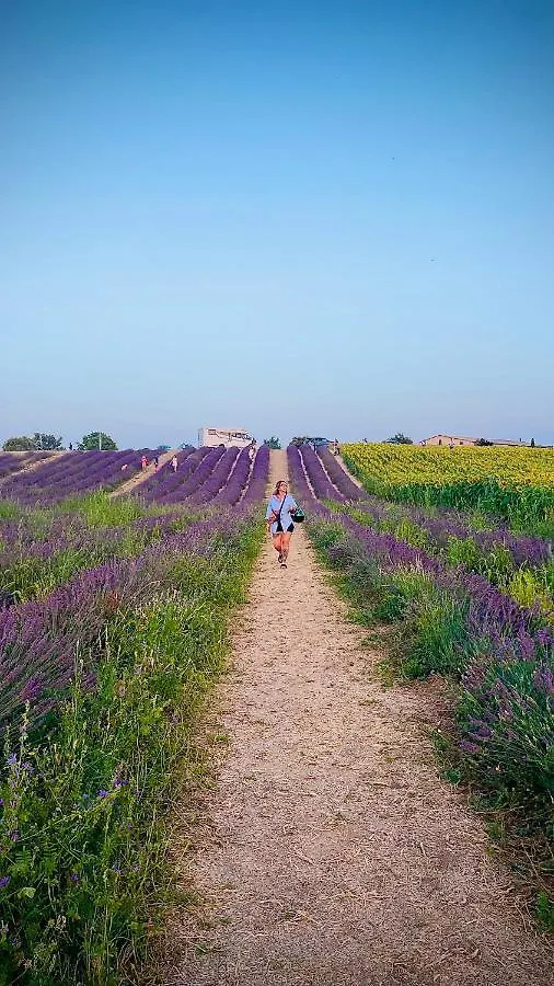 Apartmán Ame Concept Valensole 0*,