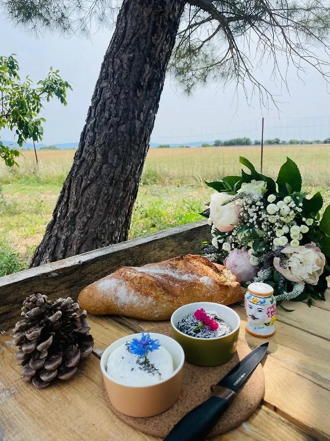 Apartmán Ame Concept Valensole