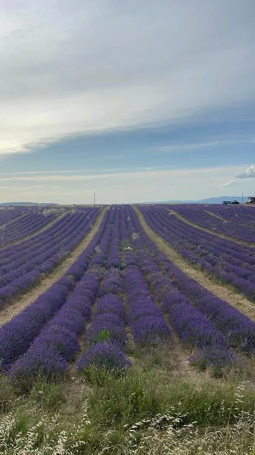 Ferienwohnung Ame Concept Valensole 0*,  Frankreich